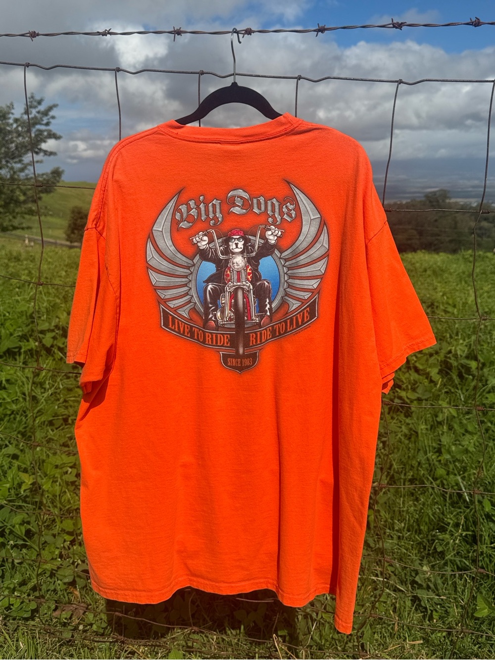 Vintage 90s Big Dogs Live to Ride Biker Orange Short Sleeve tee XXL